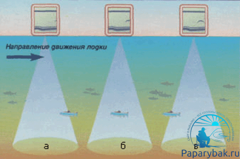 как эхолот видит рыбу