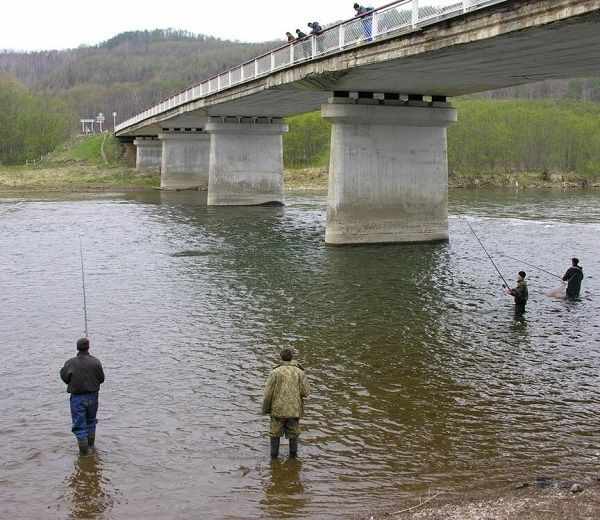 Спиннингисты под мостом