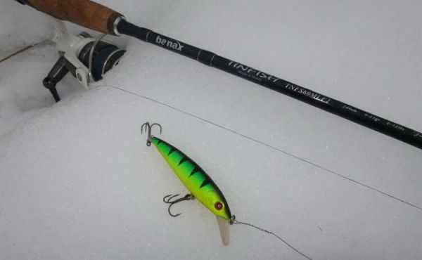 Tinfish