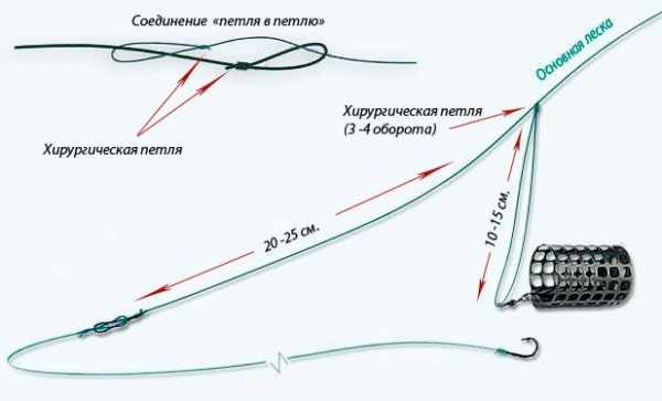 петля Гарднера