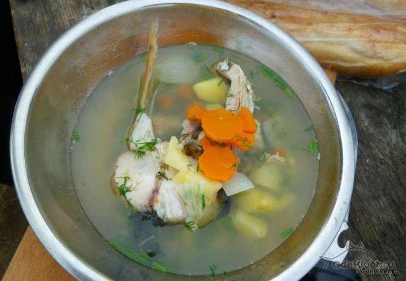Суп из Амура
