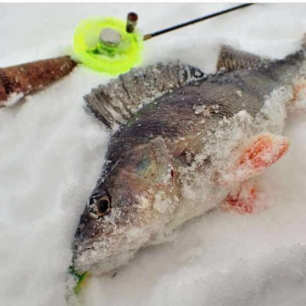 Зимняя рыбалка в России