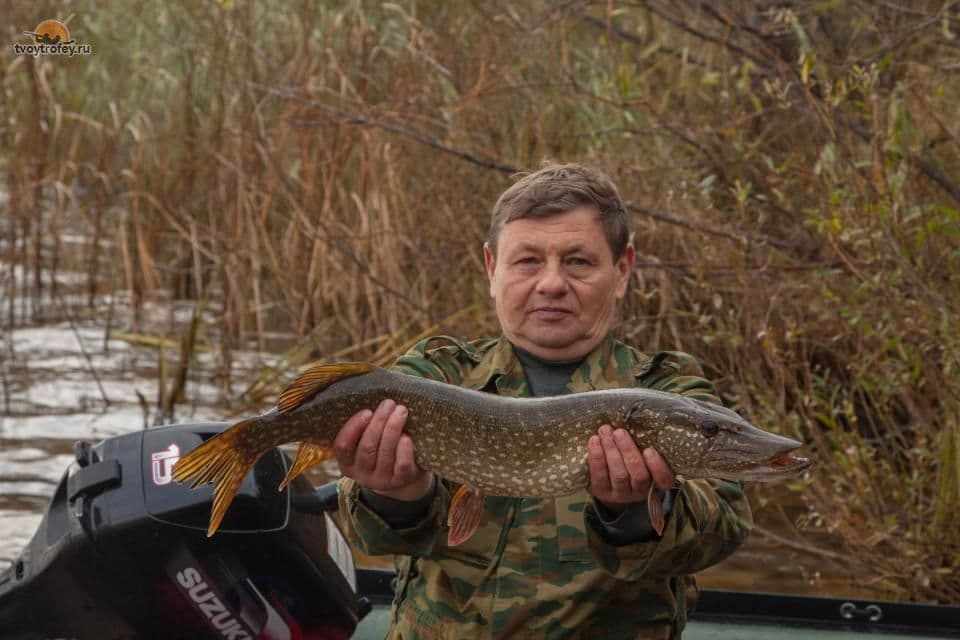 Рыбалка в Нижегородской Области