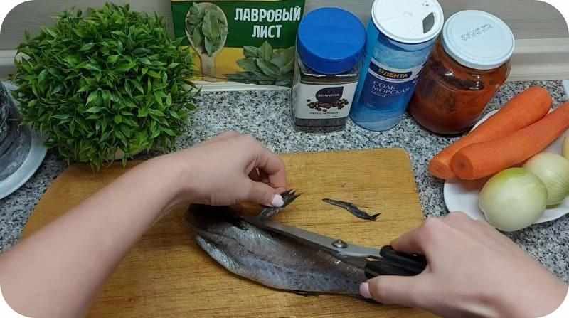 Обрезка плавников у рыбы