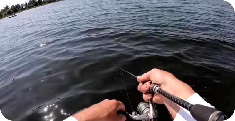 Проводка для рыбной ловли