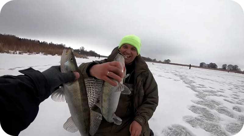 Судак на зимней рыбалки