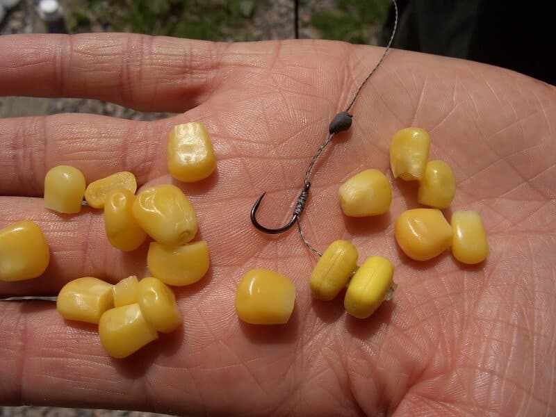 кукуруза для рыбалки: приготовление