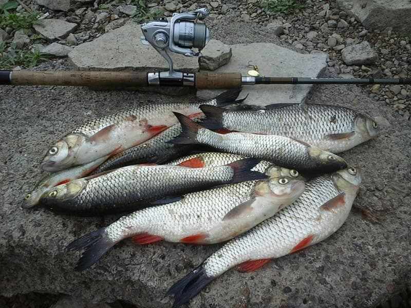 рыбалка в Башкирии в октябре