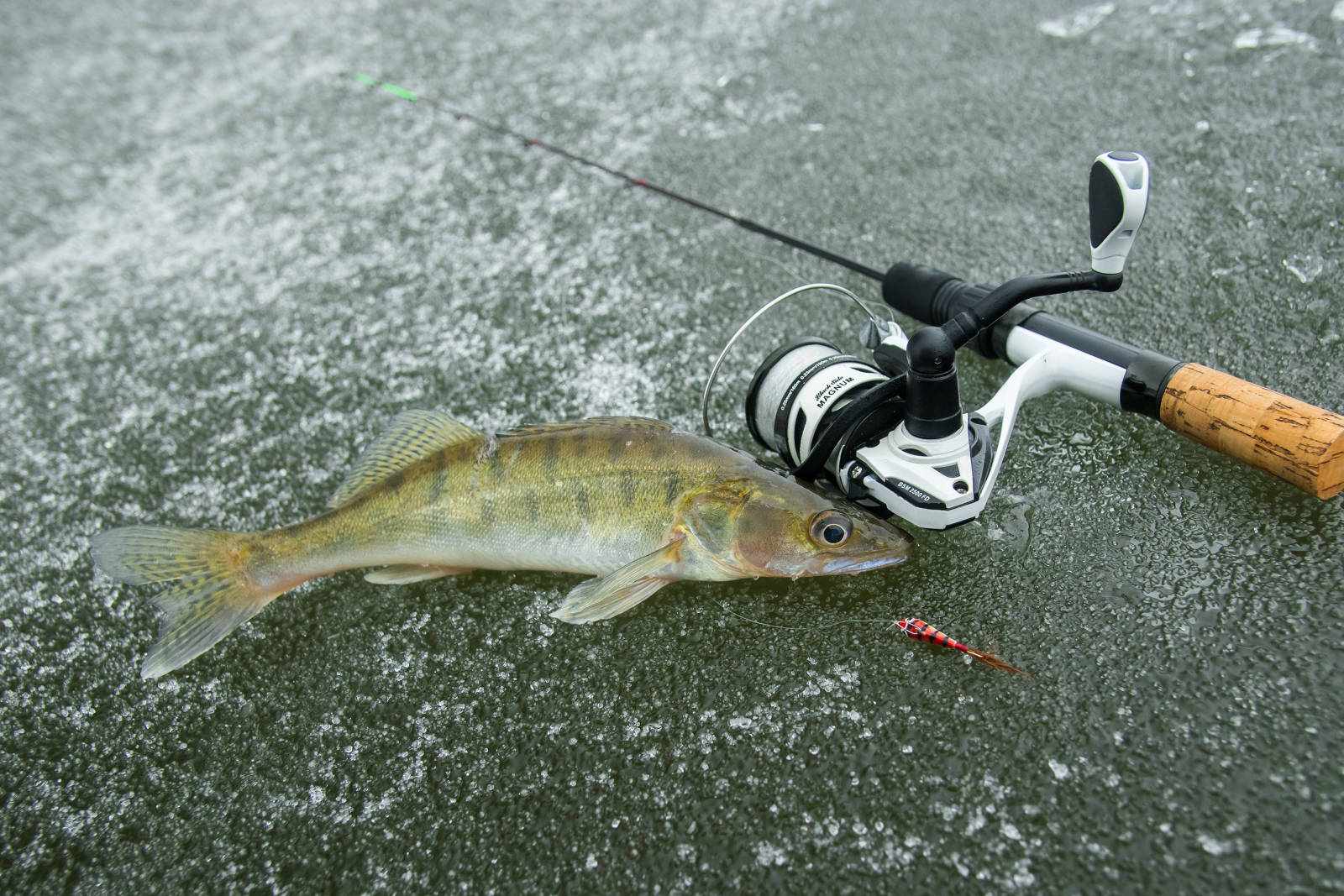 Спиннинг для зимней рыбалки