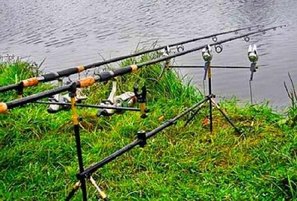 Удочки для летней рыбалки