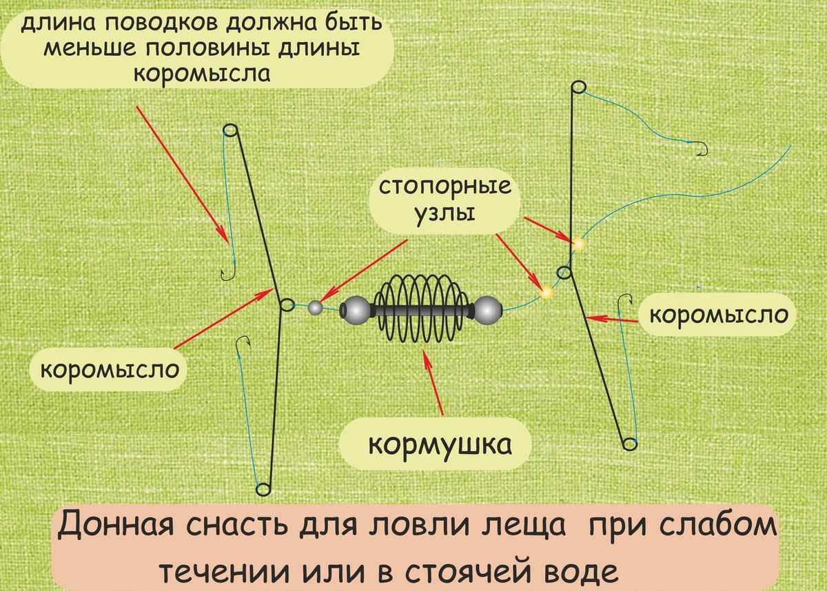 донная снасть на леща